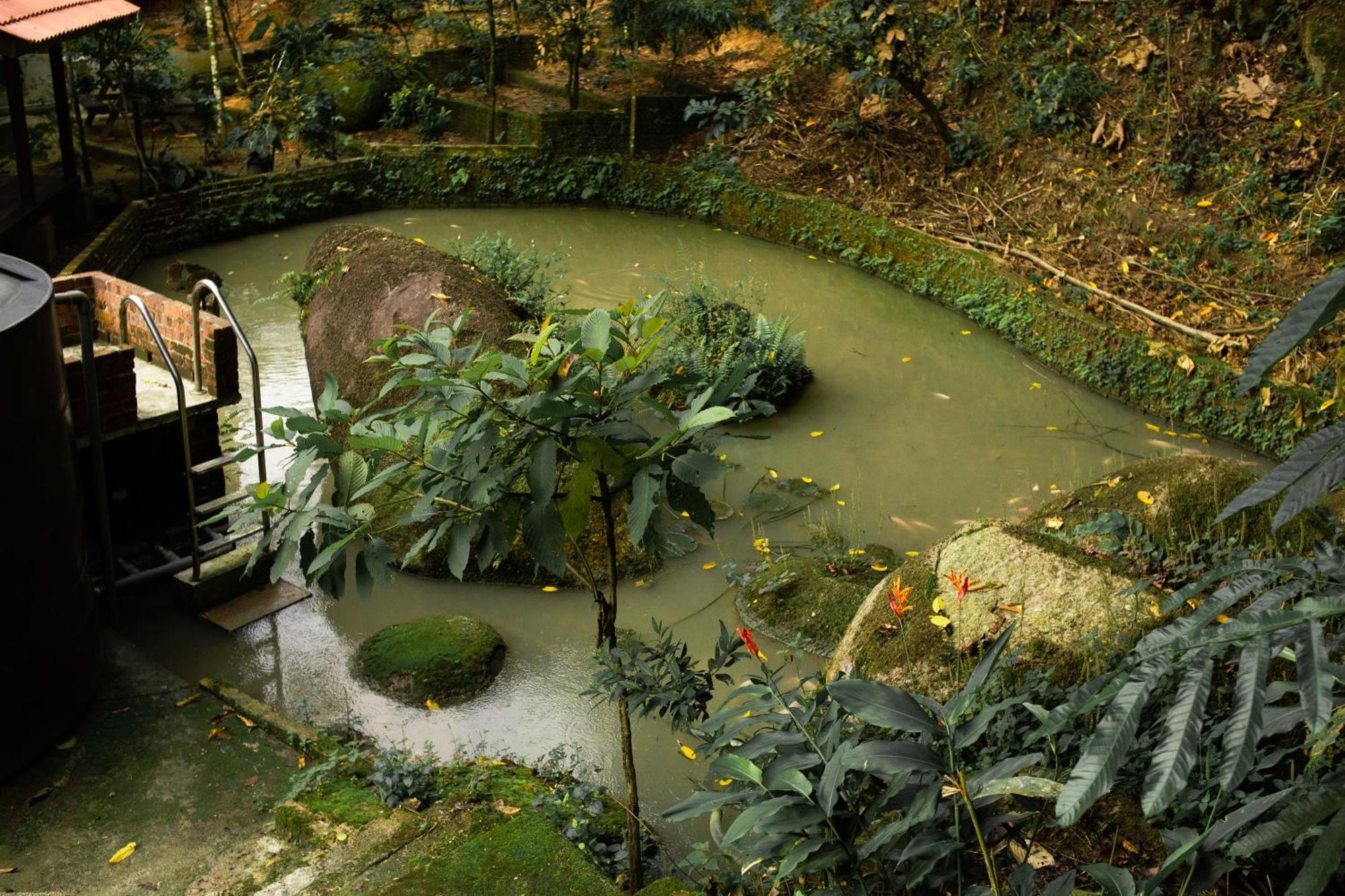 Champaca Villa - Hulu Langat Dış mekan fotoğraf